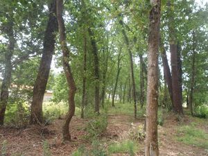 Vente terrain 608 m² à Le Teich (33470)  299 000 €