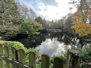 Vente terrain 4142 m² Sainte-Foy (85150)