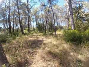 Terrain 1 200 m² Bagnols En Foret
