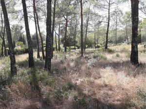 Terrain 1 200 m² Frejus