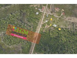 Terrain à bâtir 20 025 m²- MANA (97360) - Secteur Couachi