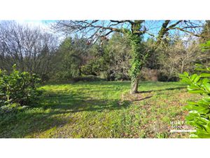 Vente Terrain à La Chapelle-Bouëxic (35330) : à vendre / La Chapelle-Bouëxic