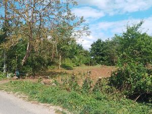 Terrain auvers sur oise