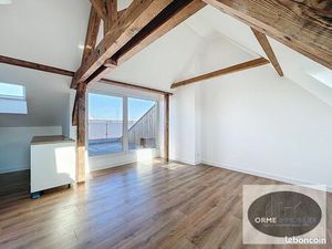 Loft 2 pièces 51 m²