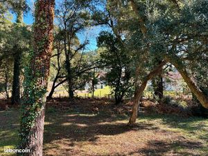 Location T3 - Meublé a l'année