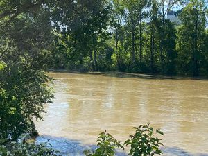 Appartement 1 pièce