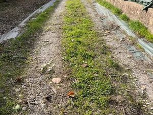 Antibes   entrepot à louer