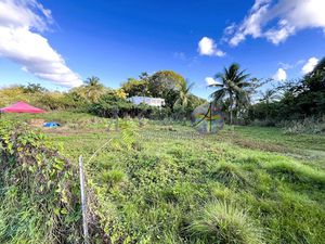 Environnement calme - Quartier résidentiel