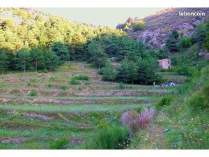 Vente terrain et bergerie