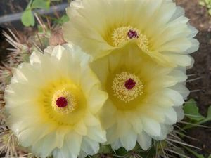 Recherche d'appartement en location