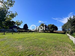 Terrain à bâtir arboré – vue Pyrénées et cadre calme à Oloron