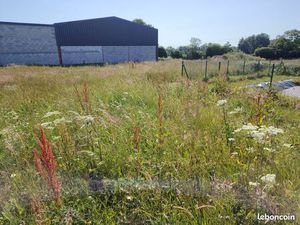 Terrain zoine artisanale