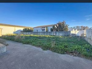 Local professionnel sur lunel