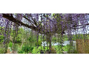 Maison Conflandey 4 pièce(s) 180 m2 en bord de Saône