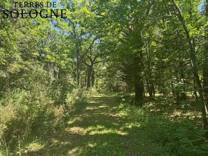 Propriété à Ligny-le-ribault