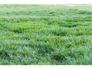 Terrain 555 m² Cleder