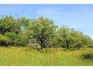 Achat terrain agricole ou boisé