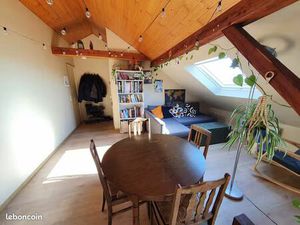 Deux-pièces 33m² Carrez / 76m² au sol - Montagne verte