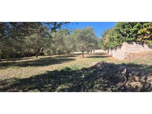 Terrain Montauroux à vendre