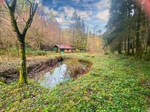 Terrain + cabane + lac naturel   Willer sur THUR 68760