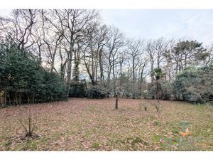 Annonce terrain à vendre