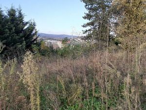 Annonce vente terrain terrain de 750m2 à Saint-chamond (42400) - ParuVendu.fr ref 99278399