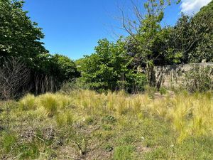 Annonce vente terrain terrain de 1m2 à Lugos (33830) - ParuVendu.fr ref 992783991475