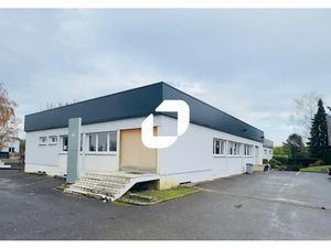 Vente Local d'activités Wolfisheim 67202