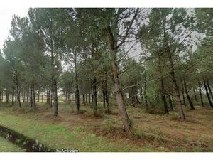 Vente terrain 560 m² Andernos-les-Bains (33510)