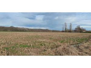 Terrain constructible viabilisé à vendre