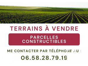 Vente Terrain à Narbonne (11100) : à vendre / 5997m² Narbonne