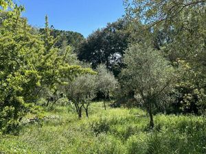 Vente terrain neuf 900m2 Le Val - 99000 € - Surface Privée