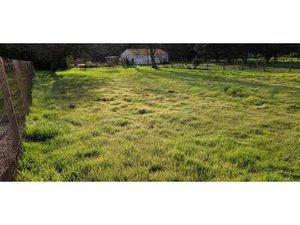 Vente Terrain à Saint-Hilaire-de-Riez (85270) : à vendre / 1084m² Saint-Hilaire-de-Riez