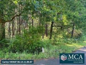 Vente maison Sanguinet (40460)