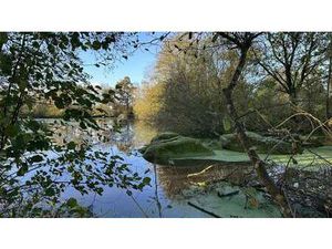 Vente Terrain à Chaillé-sous-les-Ormeaux (85310) : à vendre / Chaillé-sous-les-Ormeaux