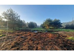 Terrain Châtillon-sur-Cher m² T- à vendre  11 100 €