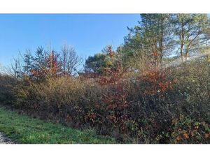 Terrain Châtillon-sur-Cher m² T- à vendre  13 000 €