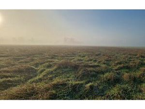 Terrain Châtillon-sur-Cher m² T- à vendre  7 000 €