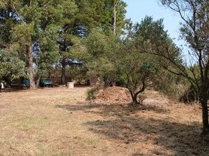 Terrain sur commune de lattes