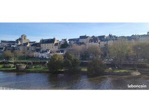 Appartement grand T2 avec magnifiaque vue sur la Sarthe