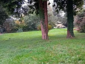 Location terrain boisé