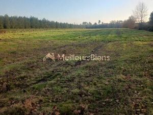 Terrain agricole 12 000 m² Saint Christoly De Blaye