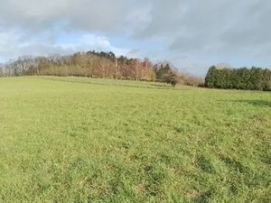 Vente terrain 1200 m² à Mareuil-la-Motte (60490)  47 800 €