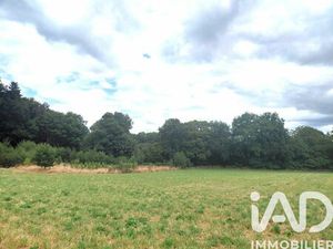 Vente terrain 1700 m² Royères (87400)