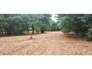 Vente terrain 380 m² à Salles (33770)  144 000 €