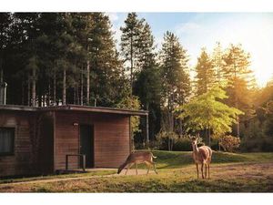 Super T4 70.05 m² + 20.30 m² - Résidence Center Parcs Bois aux Daims
