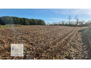 Vente Terrain à Tourch (29140) : à vendre / Tourch