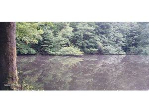 Propriété de loisirs à vendre