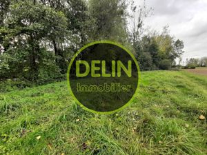 Plan d'eau en pleine nature pour le plaisir de pêcher