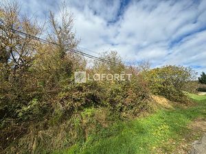 Terrain secteur fronton1108 m2